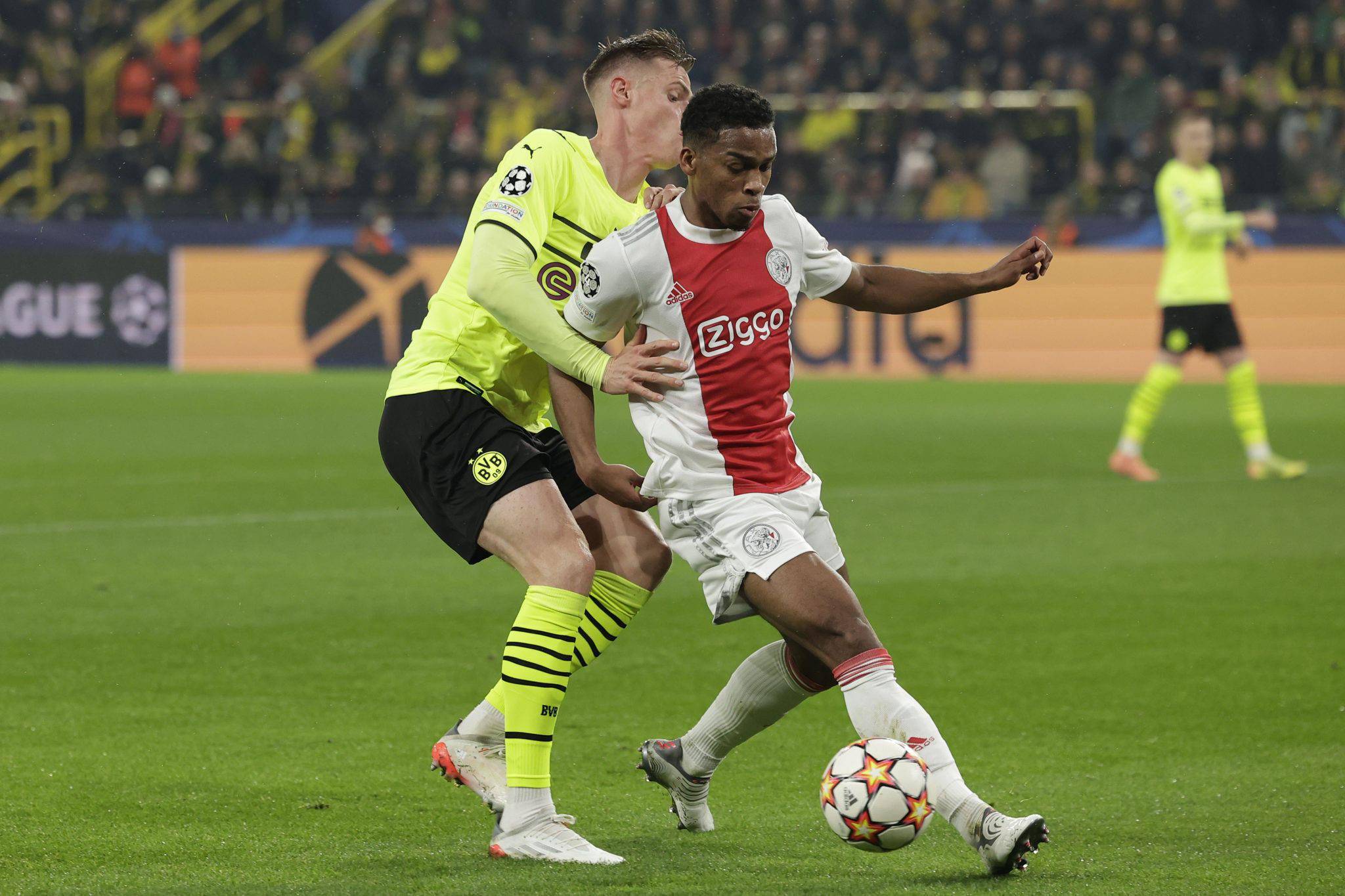 从山东男篮围绕荷甲防线松动到拜仁慕尼黑伤情更新备战社区盾，莱万多夫斯基在德国队比赛中惊艳表现的简单介绍